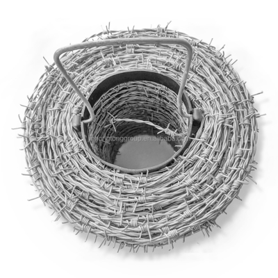 Ασφάλεια από ανθρακικό χάλυβα CBT65 BTO30 BTO-22 Roll Concertina Double Strand Razor Blade Barbed Wire για ανθεκτικό φράχτη