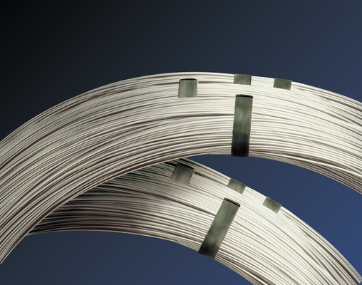 ASTM 6 8 9 10 12 14 18 20 1,6 mm x 100 PVC ή γαλβανισμένο αντιτρίχνης και αντιδιάβρωσης συρματόπλεγμα