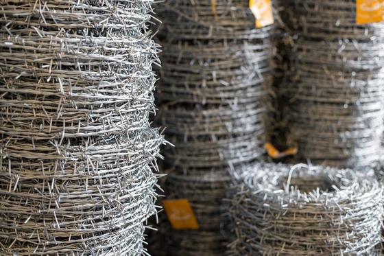 1.4mm-2.6mm Cross Razor Galvanized Barbed Wire Farm Fence 500M 20Kg Per Roll Razor Type Wire Gauge 1.4mm-2.6mm Χρησιμοποιείται για την κατασκευή σιδηροτροχικών πλέκων.