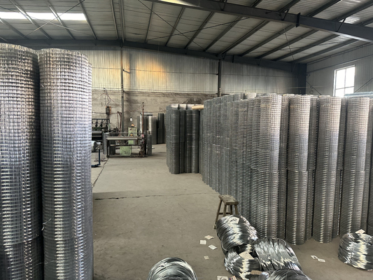 Τυπικές προδιαγραφές Twill Weave JHT Bird Cage Galvanized Welded Steel Wire Mesh Roll για την ικανοποίηση των απαιτήσεων του πελάτη