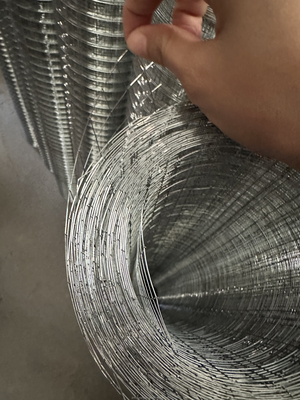 Τυπικές προδιαγραφές Twill Weave JHT Bird Cage Galvanized Welded Steel Wire Mesh Roll για την ικανοποίηση των απαιτήσεων του πελάτη
