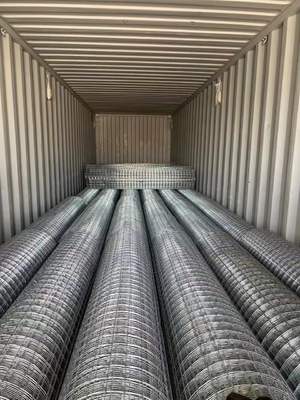 Τυπικές προδιαγραφές Twill Weave JHT Bird Cage Galvanized Welded Steel Wire Mesh Roll για την ικανοποίηση των απαιτήσεων του πελάτη