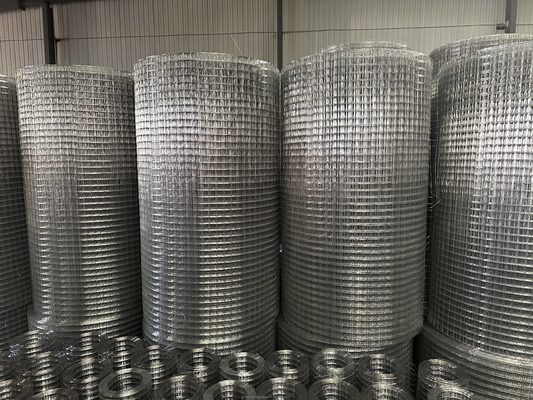 Τυπικές προδιαγραφές Twill Weave JHT Bird Cage Galvanized Welded Steel Wire Mesh Roll για την ικανοποίηση των απαιτήσεων του πελάτη